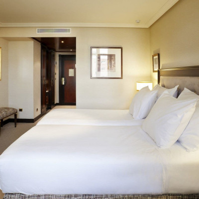 Hyatt Regency Hesperia Madrid image