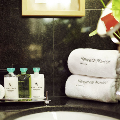 Hyatt Regency Hesperia Madrid image