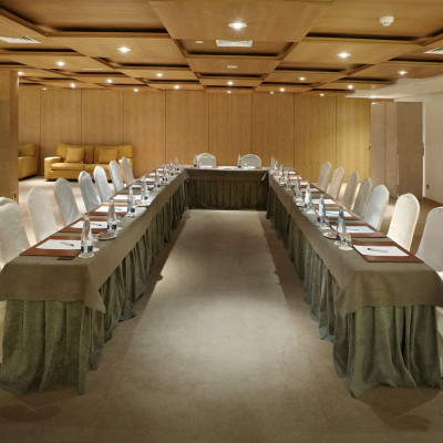 Hyatt Regency Hesperia Madrid image
