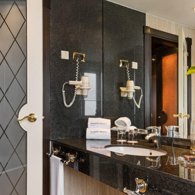 Hyatt Regency Hesperia Madrid image