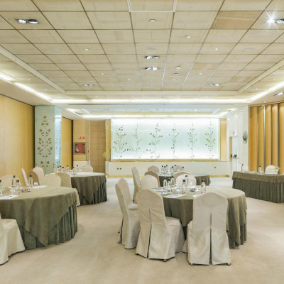 Hyatt Regency Hesperia Madrid image