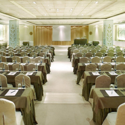 Hyatt Regency Hesperia Madrid image
