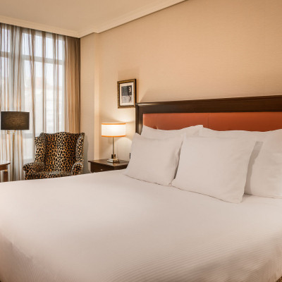 Hyatt Regency Hesperia Madrid image