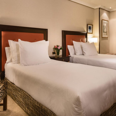 Hyatt Regency Hesperia Madrid image
