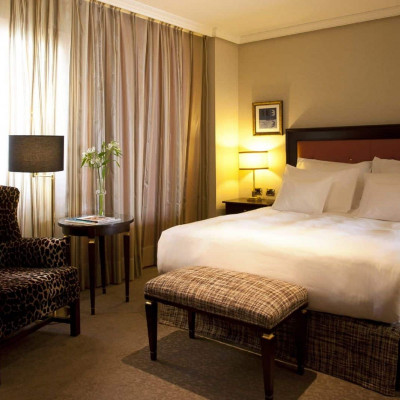 Hyatt Regency Hesperia Madrid image
