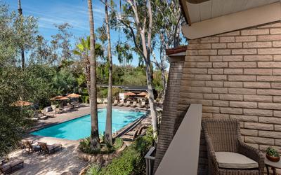 Poolside King Room