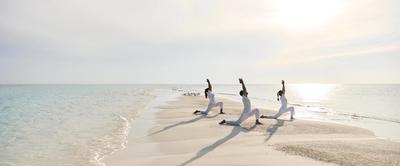 Wellness - Yoga