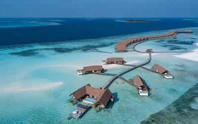 Cocoa Island By Como