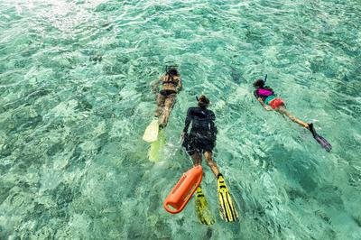 Catamaran Snorkelling Trip