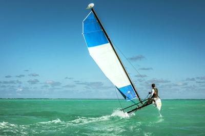 Catamaran Sailing