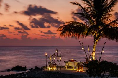 Romantic Beach Dinner on Palm Island