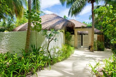 Garden Suite