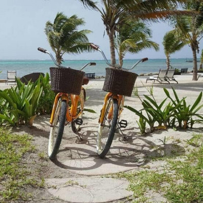 Las Terrazas Resort image