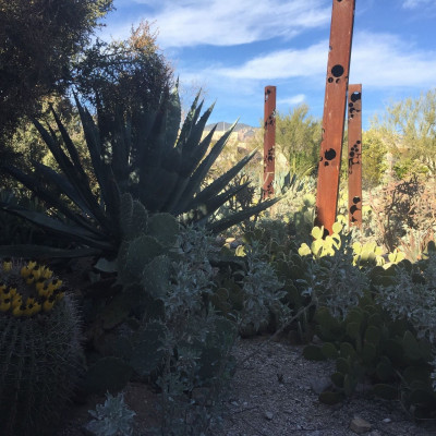 Hacienda Del Sol Guest Ranch Resort image