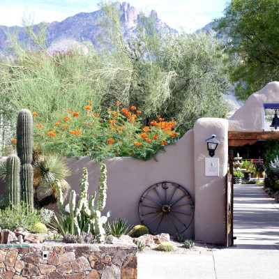 Hacienda Del Sol Guest Ranch Resort image