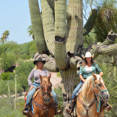 Hacienda Del Sol Guest Ranch Resort image