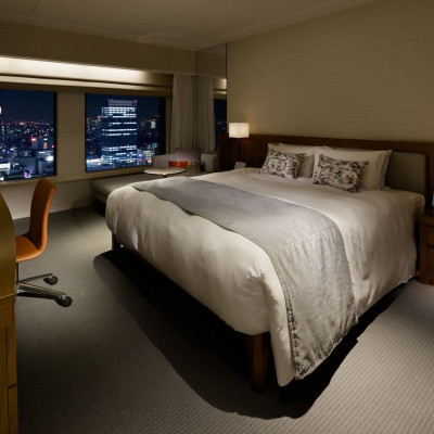 Keio Plaza Hotel Tokyo image