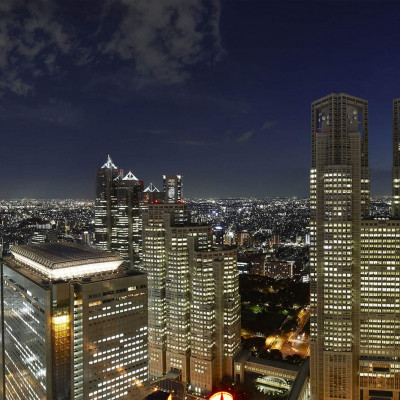 Keio Plaza Hotel Tokyo image