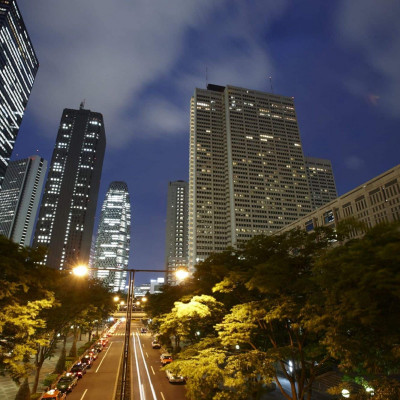 Keio Plaza Hotel Tokyo image
