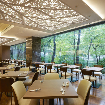 Keio Plaza Hotel Tokyo image