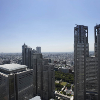 Keio Plaza Hotel Tokyo image
