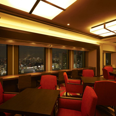 Keio Plaza Hotel Tokyo image