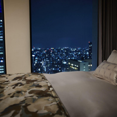 Keio Plaza Hotel Tokyo image
