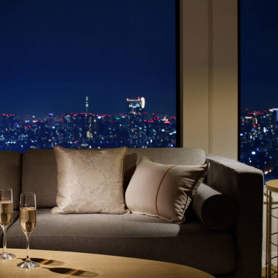 Keio Plaza Hotel Tokyo image