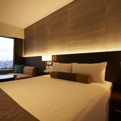 Keio Plaza Hotel Tokyo image