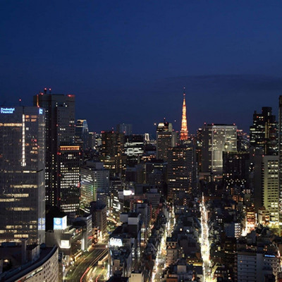 Hotel New Otani Tokyo The Main image
