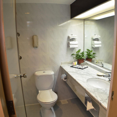Hotel Grand Pacific image