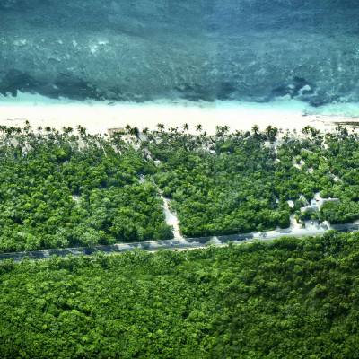 Papaya Playa Project image
