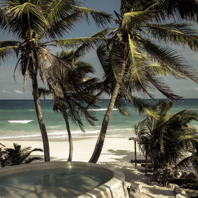 Papaya Playa Project image