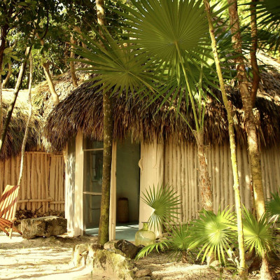 Papaya Playa Project image