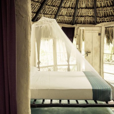 Papaya Playa Project image