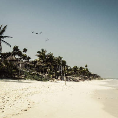 Papaya Playa Project image