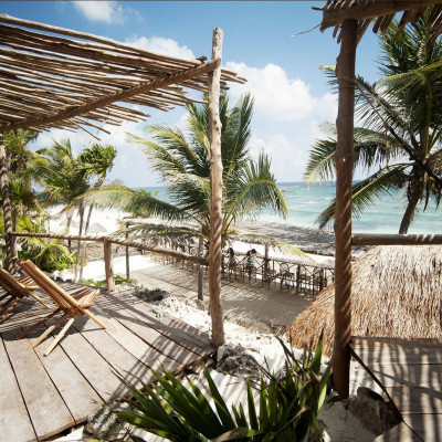 Papaya Playa Project image