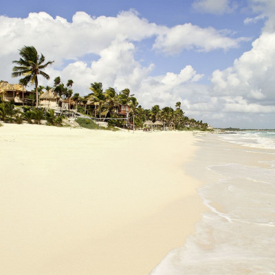 Papaya Playa Project image