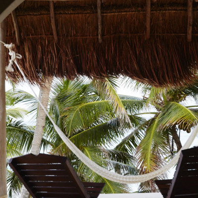 Papaya Playa Project image