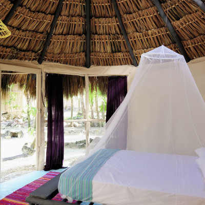 Papaya Playa Project image