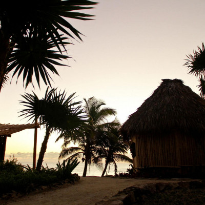 Papaya Playa Project image