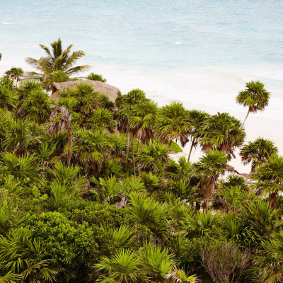 Papaya Playa Project image