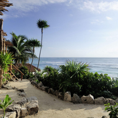 Papaya Playa Project image