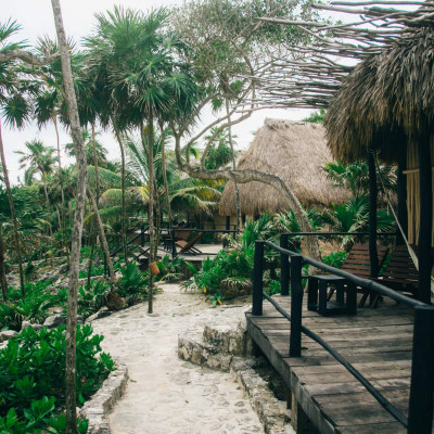Papaya Playa Project image