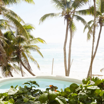 Papaya Playa Project image
