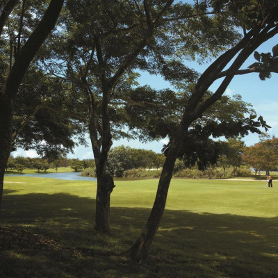 Shangri-La Rasa Ria Resort image