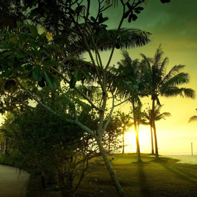 Shangri-La Rasa Ria Resort image