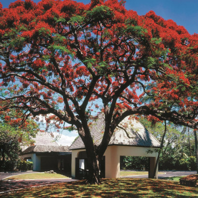 Shangri-La Yanuca Island, Fiji image