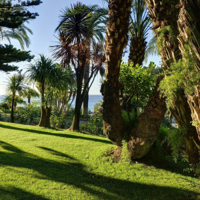 Royal Hotel Sanremo image