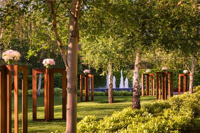 Birch Garden